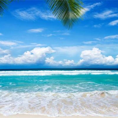 购彩中心welcome官网下载手机版