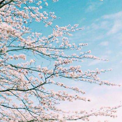 亚博网APP最新版本手机版